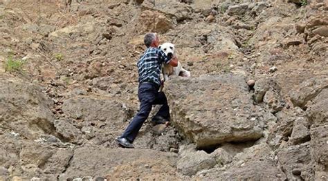 Yağlıdere'de yamaçta mahsur kalan köpek kurtarıldı - Son Dakika Haberleri
